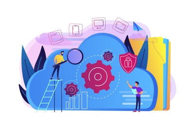 COBIT 2019 Certification Cost