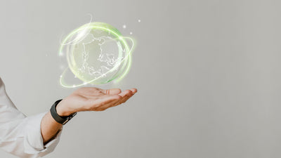 Sustainability in Digital Transformation Policy Template Download