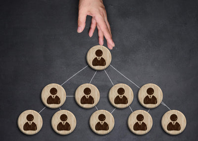 COBIT APO01.04 -Define And Implement The Organizational Structures