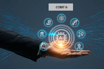 COBIT 6