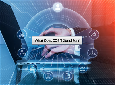 What Does COBIT Stand For?