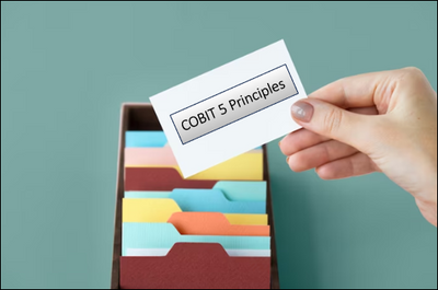 COBIT 5 Principles
