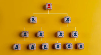 Organisational Structure Template