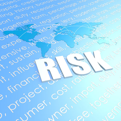Risk Appetite Statement Free Template