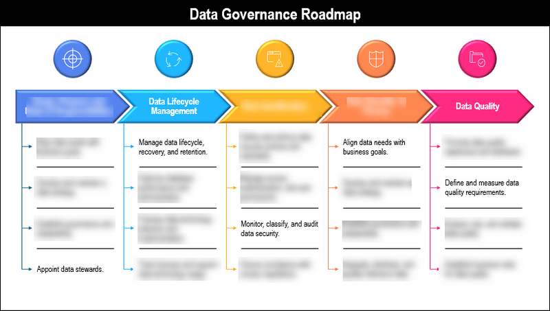 Data Governance Roadmap Template
