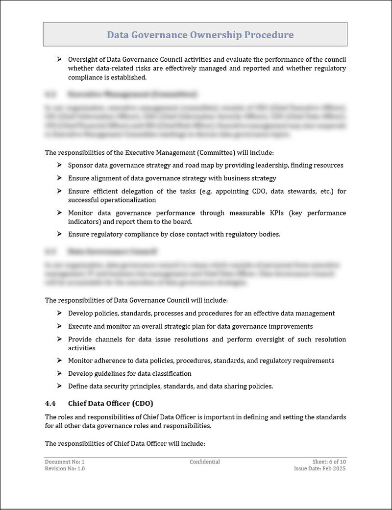 Data Governance Ownership Procedure Template