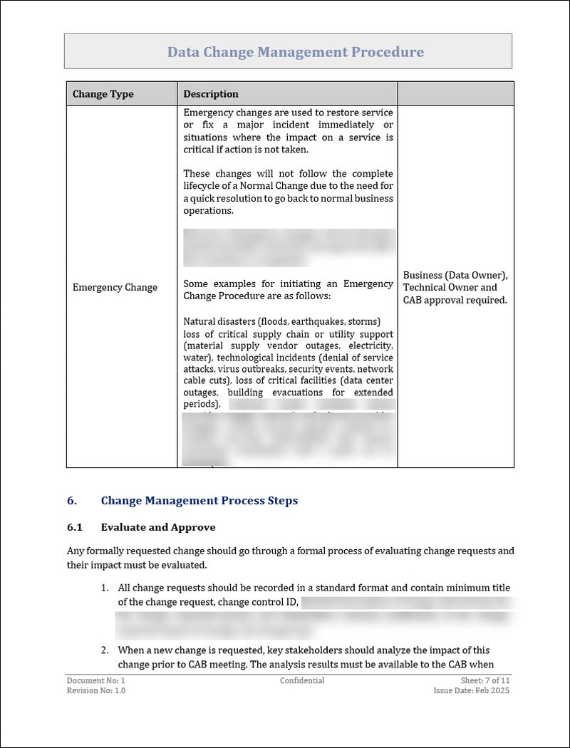 Data Change Management Procedure Template