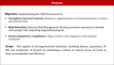 COSO Implementation Plan Template