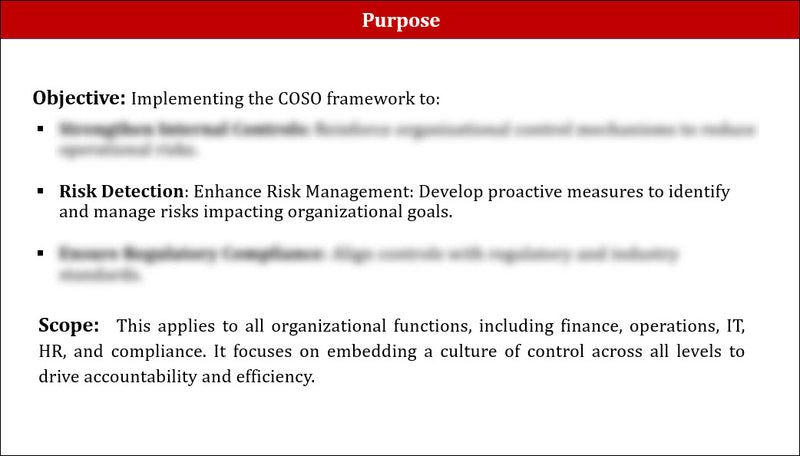 COSO Implementation Plan Template