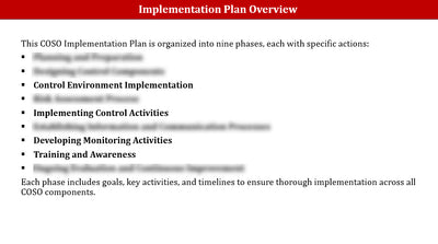 COSO Implementation Plan Template