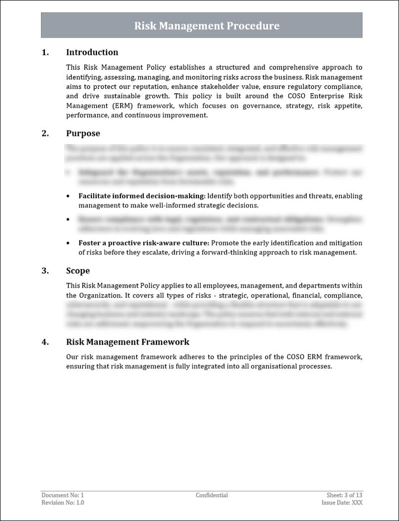 Risk Management Procedure Template