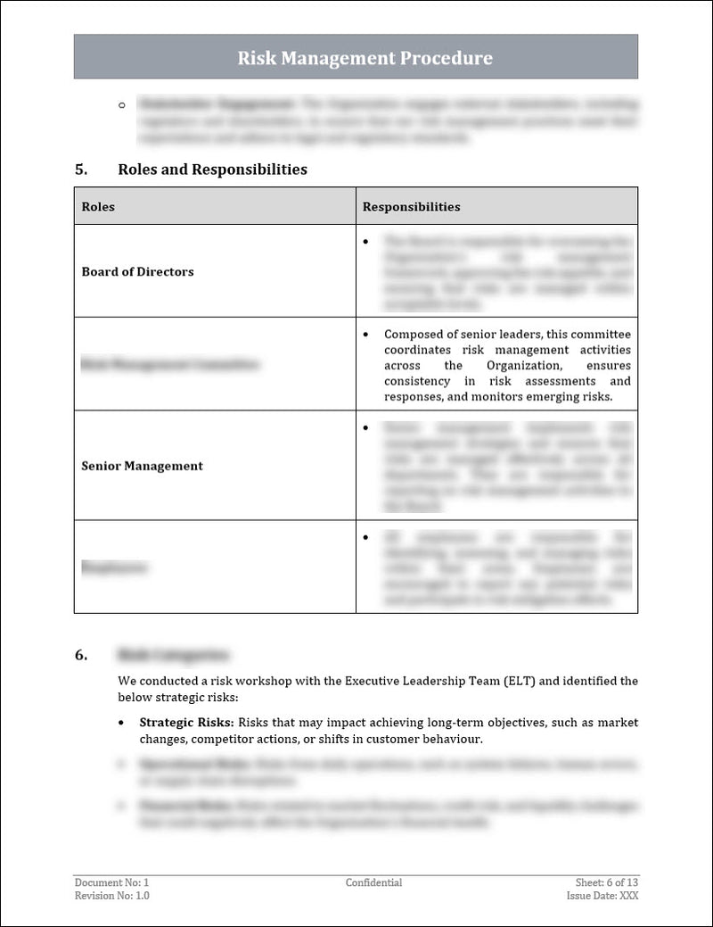 Risk Management Procedure Template