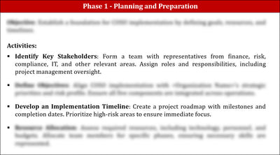 COSO Implementation Plan Template