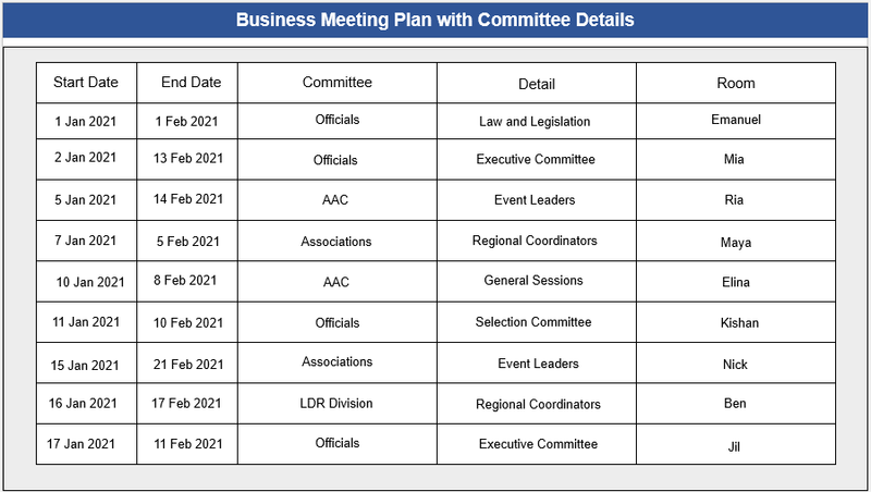 Business Meeting Strategy Plan with Committee Details