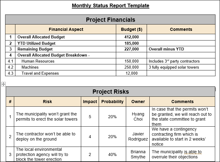 Monthly Status Report Template, monthly status report, status report