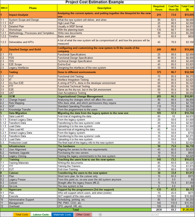 Project Cost Estimation Example, Project Cost Estimation, labor cost estimation