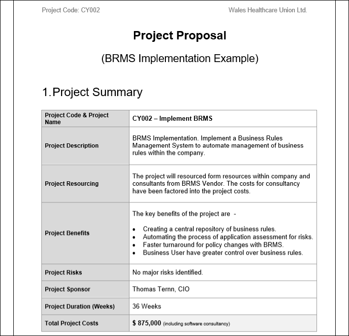 Project Proposal BRMS Implementation Template