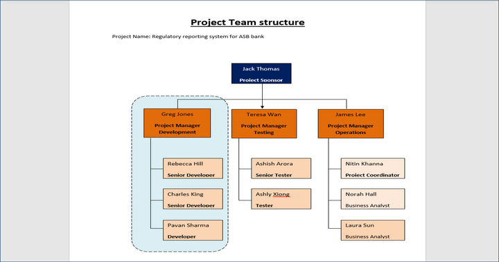 Project Team Structure By Functional Module Download Top 15 Templates