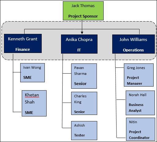 Project team structure