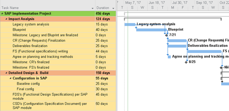 SAP Project Plan