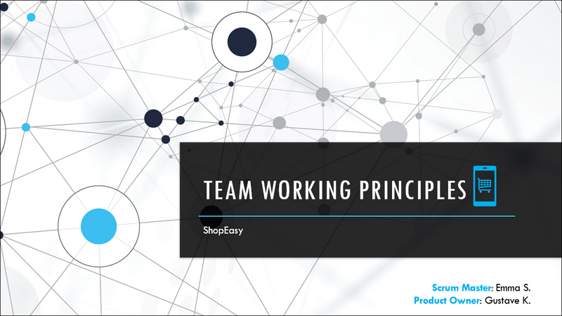Team Working Principles Template
