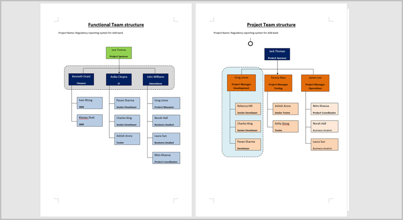 Project Team Structure Template 